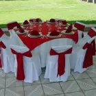 La imagen 5 de la Empresa SURTI FIESTAS Arte, Entretenimiento y Vida Nocturna en Zapopan JAL