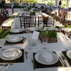 La imagen 9 de la Empresa SURTI FIESTAS Arte, Entretenimiento y Vida Nocturna en Zapopan JAL