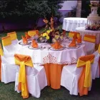 La imagen 15 de la Empresa SURTI FIESTAS Arte, Entretenimiento y Vida Nocturna en Zapopan JAL