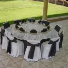 La imagen 19 de la Empresa SURTI FIESTAS Arte, Entretenimiento y Vida Nocturna en Zapopan JAL