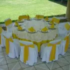 La imagen 21 de la Empresa SURTI FIESTAS Arte, Entretenimiento y Vida Nocturna en Zapopan JAL