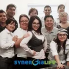 La imagen 4 de la Empresa SYNERGIALIFE Servicios Profesionales y de Negocios en Torreón COA
