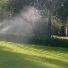 La imagen 3 de la Empresa TARGET PEST CONTROL SA DE CV Servicios Profesionales y de Negocios en Heroica Puebla De Zaragoza PUE