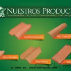 La imagen 12 de la Empresa TEJASYBARRO DE LEON Materiales de Construcción en León De Los Aldama GUA