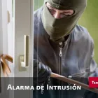 La imagen 6 de la Empresa TENESEC, SOLUCIONES EN SEGURIDAD Servicios Profesionales y de Negocios en Ciudad Adolfo López Mateos MEX