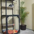 La imagen 4 de la Empresa TIENDA DE MASCOTAS, HOTEL, VETERINARIA Y ESTETICA MADAGASCAR DE MOVILCAN Salud y Medicina en Aguascalientes MEX
