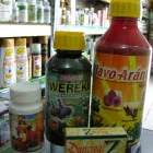 La imagen 6 de la Empresa TIENDA NATURISTA DE PUEBLA en San Antonio Mihuacan PUE