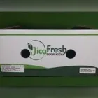 La imagen 2 de la Empresa TIJUANA BOX Servicios Profesionales y de Negocios en Tijuana BCN