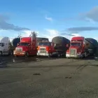 La imagen 6 de la Empresa TRANSPORTES DE MAQUINARIA ESPECIALIZADOS CAMACHO en Ciudad De México CMX