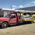 La imagen 1 de la Empresa TRANSPORTES MULAMEX Transportes y Turismo en San Luis Potosí SLP