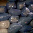 La imagen 1 de la Empresa TRAPOS LA QUEBRADA en Cuautitlán Izcalli MEX