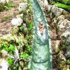 La imagen 2 de la Empresa TRAVEL AGENCY LUMAALE Transportes y Turismo en Cancún ROO