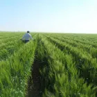 La imagen 2 de la Empresa TREAGRO Fabricantes, Mayoristas y Distribuidoras de Alimentos y Bebidas en Ciudad Delicias CHH
