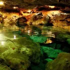 La imagen 3 de la Empresa TROPIC CONEXION Transportes y Turismo en Cancún ROO