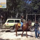 La imagen 3 de la Empresa TURISMO ALTERNATIVO EN GUANAJUATO Transportes y Turismo en Guanajuato MEX