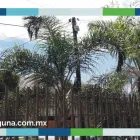 La imagen 5 de la Empresa TVS LAGUNA, SOLUCIONES EN SEGURIDAD Y ENTRETENIMIENTO Servicios Profesionales y de Negocios en Gómez Palacio DUR