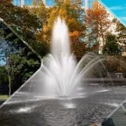 La imagen 4 de la Empresa UMAT Servicios Profesionales y de Negocios en Zapopan JAL