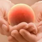 La imagen 3 de la Empresa UNILIVE Salud y Medicina en San Andrés Cholula PUE