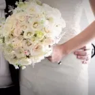 La imagen 1 de la Empresa VAINILLA FILMS en Monterrey NLE