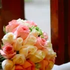 La imagen 3 de la Empresa VAINILLA FILMS en Monterrey NLE