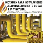 La imagen 1 de la Empresa VECTOR SONORA Servicios Profesionales y de Negocios en Hermosillo SON
