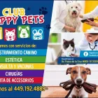 La imagen 1 de la Empresa VETERINARIA CLUB HAPPY PETS Salud y Medicina en Aguascalientes MEX