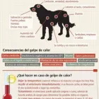 La imagen 1 de la Empresa VETERINARIA DE LOS ÁLAMOS CONSULTORIO en Tijuana BCN