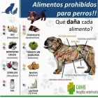 La imagen 3 de la Empresa VETERINARIA DE LOS ÁLAMOS CONSULTORIO en Tijuana BCN