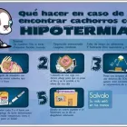 La imagen 9 de la Empresa VETERINARIA DE LOS ÁLAMOS CONSULTORIO en Tijuana BCN