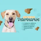 La imagen 1 de la Empresa VETERINARIA EL CORCEL Salud y Medicina en Tepic NAY