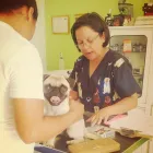 La imagen 4 de la Empresa VETERINARIA EN ALTAMIRA MEDIVETZ Salud y Medicina en Altamira TAM