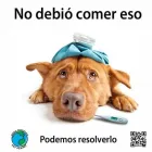 La imagen 1 de la Empresa VETERINARIA PET PLANET en Ciudad De México CMX