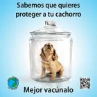 La imagen 3 de la Empresa VETERINARIA PET PLANET en Ciudad De México CMX