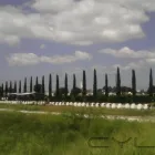 La imagen 9 de la Empresa VITA NOVA PARQUE FUNERAL CELAYA Tanatorios y Gestión Funeraria en Celaya GUA