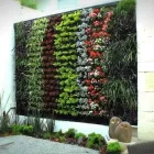 La imagen 1 de la Empresa VIVERO BIOVERDE Industrias y Agricultura en Cuautla MOR