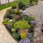 La imagen 2 de la Empresa VIVERO BIOVERDE Industrias y Agricultura en Cuautla MOR