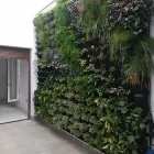 La imagen 3 de la Empresa VIVERO BIOVERDE Industrias y Agricultura en Cuautla MOR