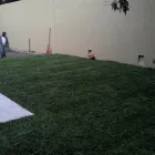 La imagen 4 de la Empresa VIVERO DE MORELOS Servicios Profesionales y de Negocios en Cuernavaca MOR