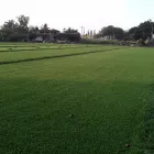 La imagen 5 de la Empresa VIVERO DE MORELOS Servicios Profesionales y de Negocios en Cuernavaca MOR