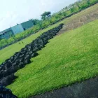 La imagen 1 de la Empresa VIVERO LA FLOR DE MORELOS Sistemas y Equipos de Riego en Cocoyoc MOR