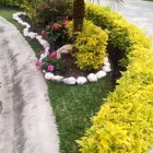 La imagen 24 de la Empresa VIVERO LA FLOR DE MORELOS Sistemas y Equipos de Riego en Cocoyoc MOR