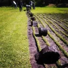 La imagen 29 de la Empresa VIVERO LA FLOR DE MORELOS Sistemas y Equipos de Riego en Cocoyoc MOR