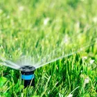 La imagen 3 de la Empresa VIVERO MI JARDÍN Industrias y Agricultura en Mazatlán SIN