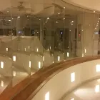 La imagen 5 de la Empresa VIVG5501092WA Servicios Profesionales y de Negocios en Acapulco De Juárez GRO