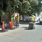 La imagen 1 de la Empresa VIZHER CONSTRUCTION SA DE CV Servicios Profesionales y de Negocios en Zapopan JAL