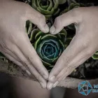 La imagen 1 de la Empresa WALDORF DE GUADALAJARA Universidades en Guadalajara JAL