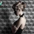 La imagen 2 de la Empresa WALLDECK MEXICO Decoradores y Materiales para Decoración en Monterrey NLE