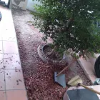 La imagen 7 de la Empresa YORCH SALE en Mexicali BCN