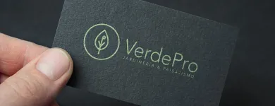 La imagen 10 de la Empresa 3.6.9 DISEÑO Servicios Profesionales y de Negocios en Puebla MEX