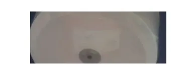 La imagen 3 de la Empresa ABASTO-INC Servicios Profesionales y de Negocios en Ecatepec De Morelos MEX